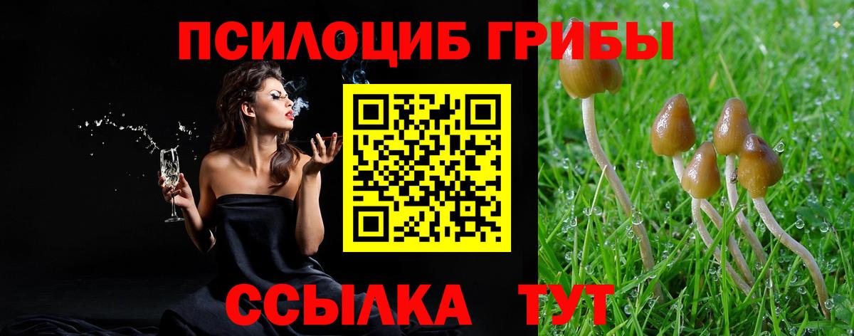 Псилоцибиновые грибы Psilocybe  Вход с VPN  Ханты-Мансийск 